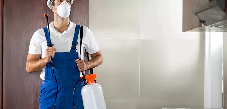 Why Lincoln Homeowners Choose Us When Pests Make Selling Difficult