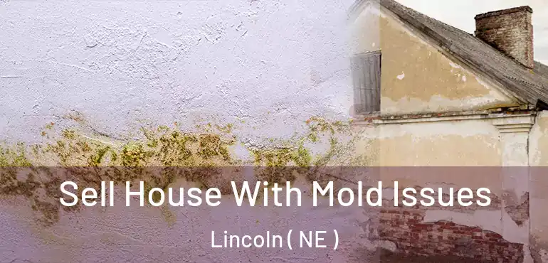  Sell House With Mold Issues Lincoln ( NE )